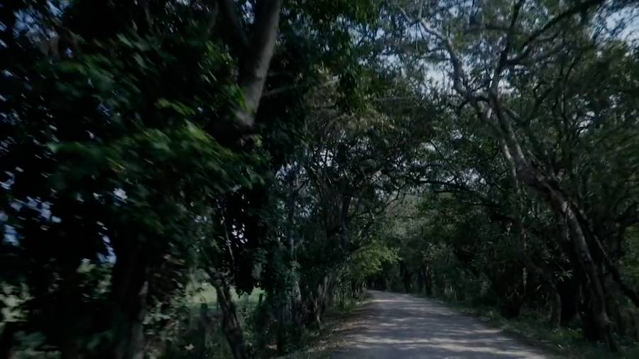 Marwa Arsanios, Who is Afraid of Ideology? (Part 3) – Microresistances, 2020, video, color, sound, ca. 30’, courtesy Marwa Arsanios; mor Charpentier, Paris
