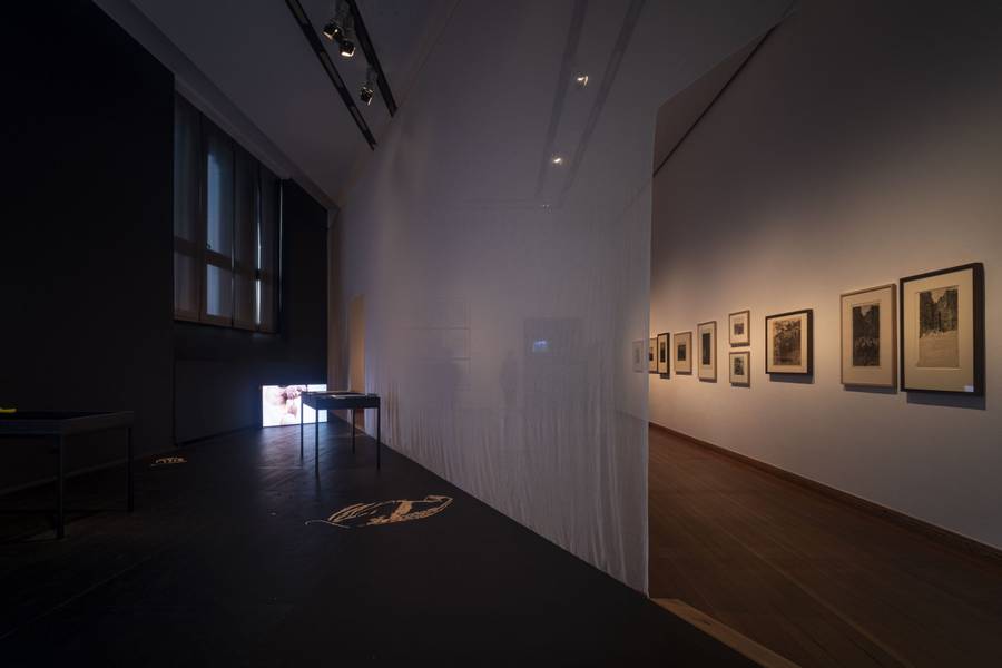 Käthe Kollwitz, Katarina Zdjelar, installation view, 11th Berlin Biennale, Gropius Bau, 5.9.–1.11.2020, photo: Mathias Völzke

