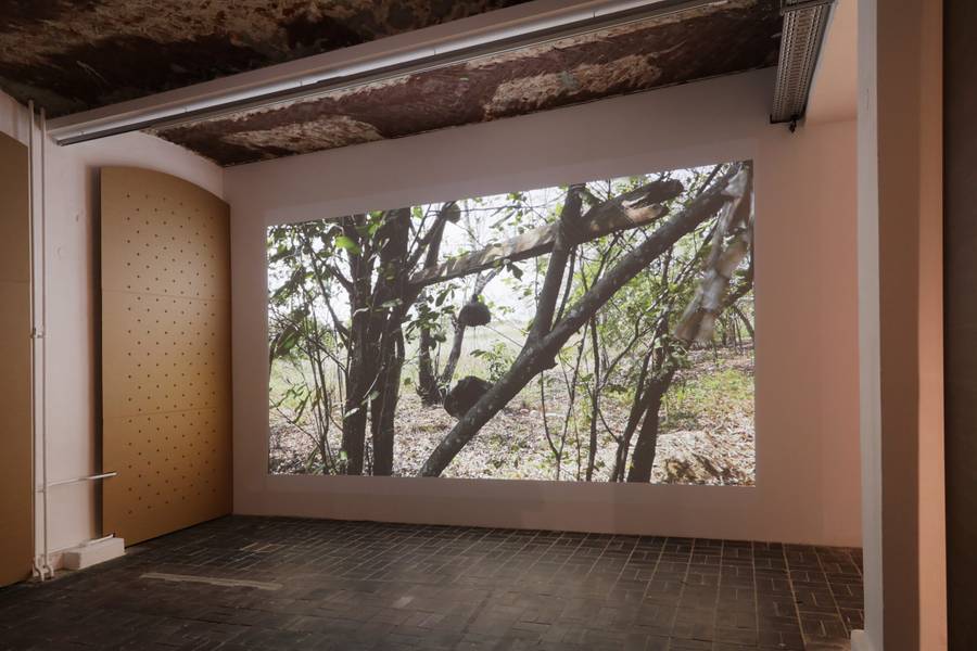 Marwa Arsanios, Who is Afraid of Ideology? (Part 3) – Micro Resistencias, 2020, installation view 11th Berlin Biennale, KW Institute for Contemporary Art, 5.9.–1.11.2020, photo: Silke Briel
